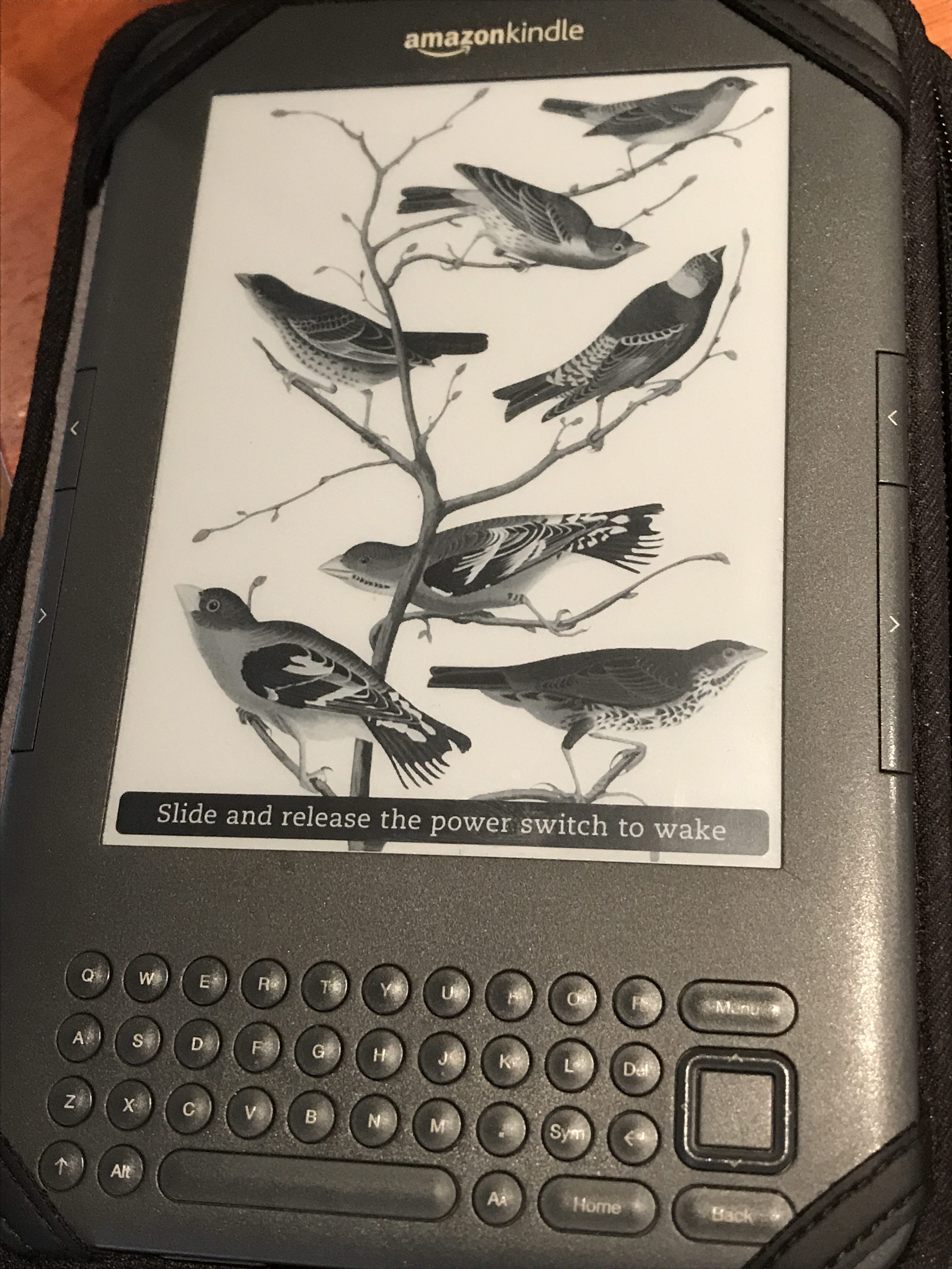 Early model kindle showing screensaver with birds